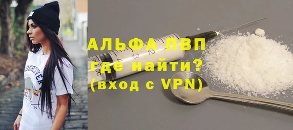 спайс Каменка