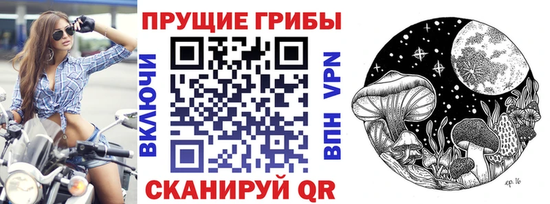 Псилоцибиновые грибы Magic Shrooms  Барыш 